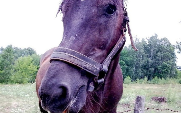 Zbiórka Czarna chce żyć. - zdjęcie główne