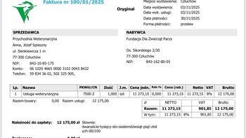 Zbiórka Leczenie kotów ze szpitala - miniaturka zdjęcia