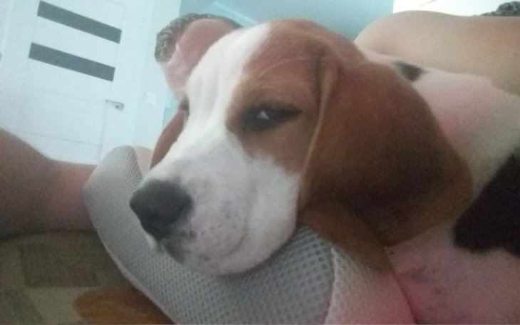 Zbiórka Samochod z klimatyzacja - zdjęcie główne