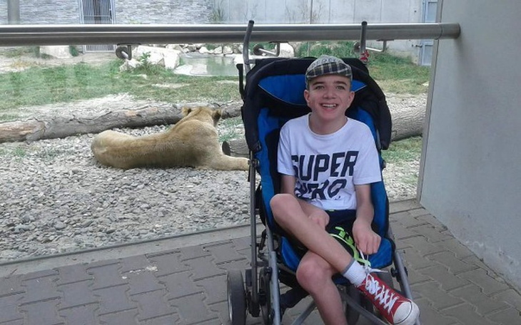 Chłopiec w wózku, uśmiechający się obok lwa w zoo.