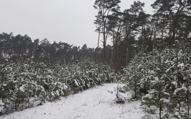 Zbiórka trudna sytuacja po utracie pracy - zdjęcie główne