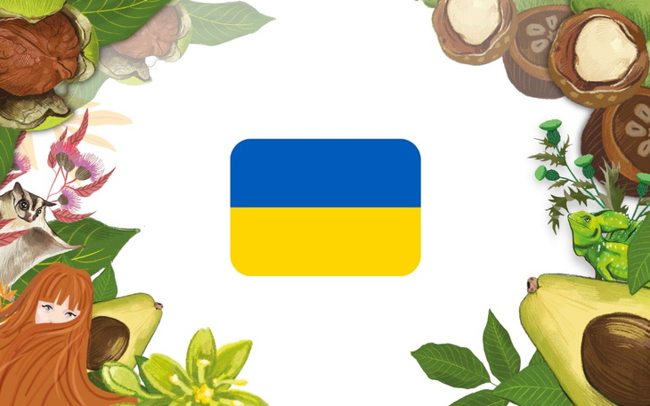 Zbiórka Włosing wspiera Ukrainę - zdjęcie główne