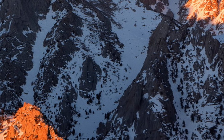 Zbiórka 12121 - zdjęcie główne