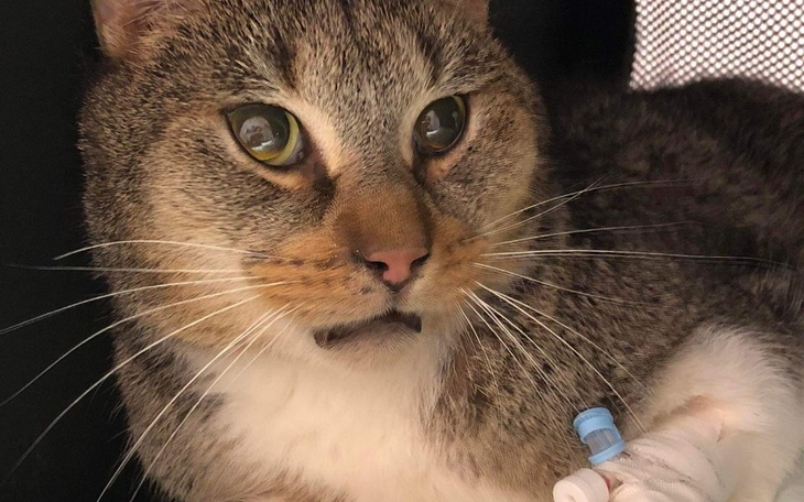 Zbiórka Beżyk Smierć albo Życie SOS - zdjęcie główne