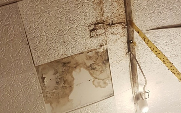 Zbiórka Pomoc w renowacji dachu - zdjęcie główne