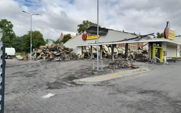 Zbiórka Ponowne zbudowanie biedronki - zdjęcie główne