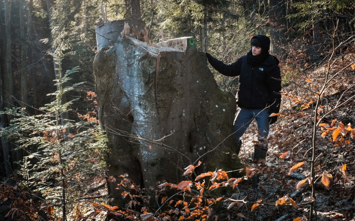 Zbiórka Powiedzmy leśnikom prawdę w oczy - zdjęcie główne