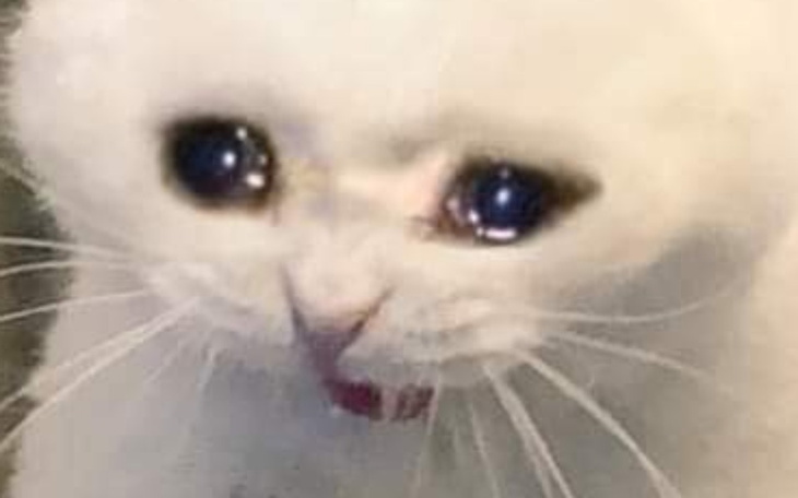 Zbiórka Długi bankructwo i uzależnienie - zdjęcie główne