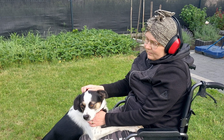 Zbiórka Malwina Ferneza - zdjęcie główne