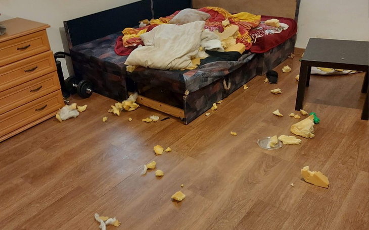 Zbiórka Zbieram na Święta Bożego Narodze - zdjęcie główne