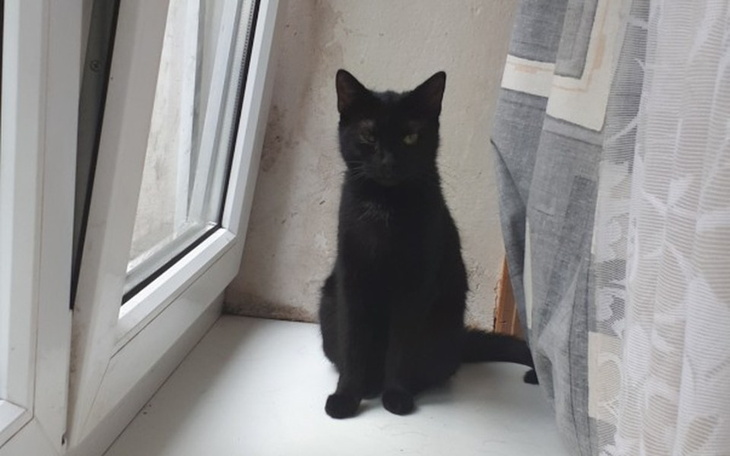 Zbiórka Cel fundacja - zdjęcie główne