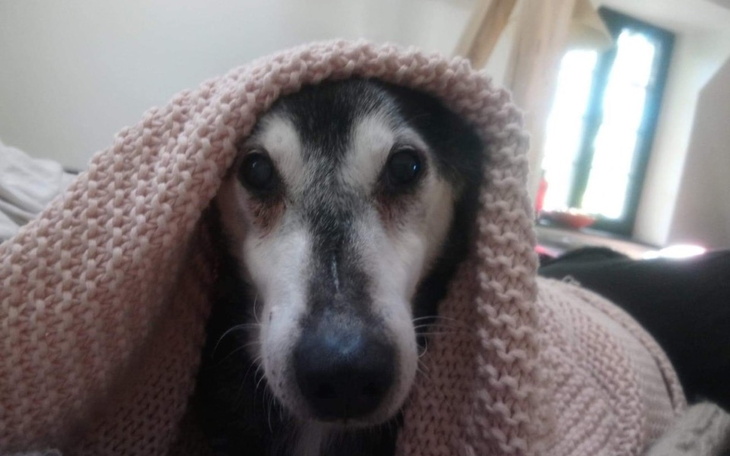 Zbiórka Fundusz emerytalny dla Ignaca - zdjęcie główne