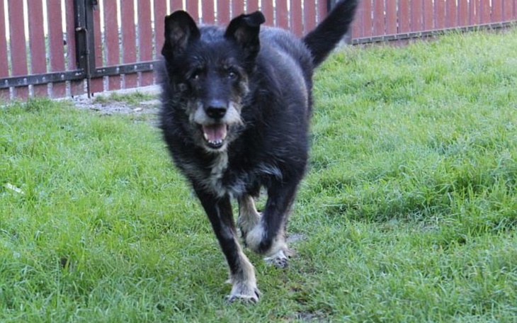 Zbiórka Pomoc dla chorej 11 letniej Miły - zdjęcie główne