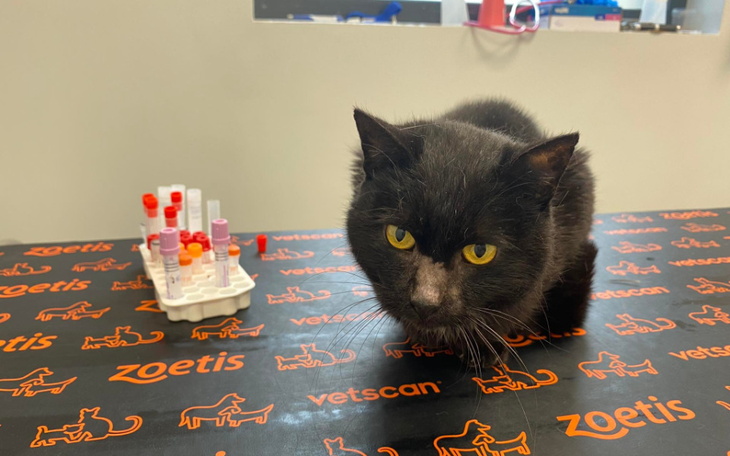 Zbiórka Gdy zapada wyrok... - zdjęcie główne