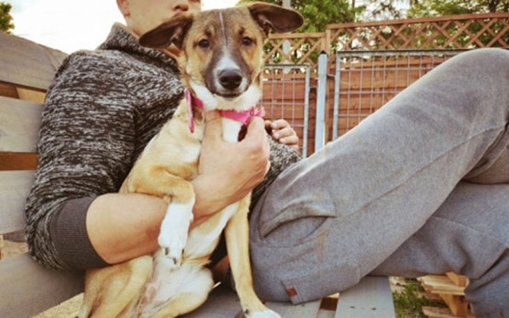 Zbiórka Lusia zbiera na nowe życie - zdjęcie główne