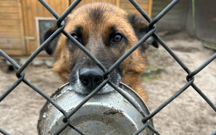 Zbiórka Jedzenie - podstawowa potrzeba - zdjęcie główne
