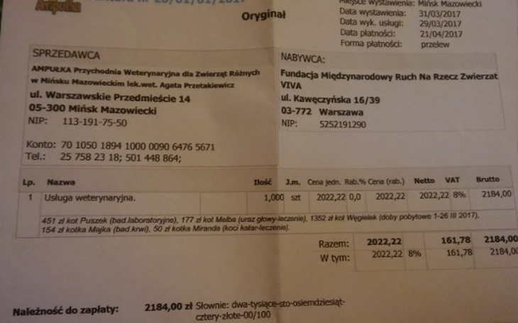 Zbiórka Faktura za leczenie bezdomniaków - zdjęcie główne