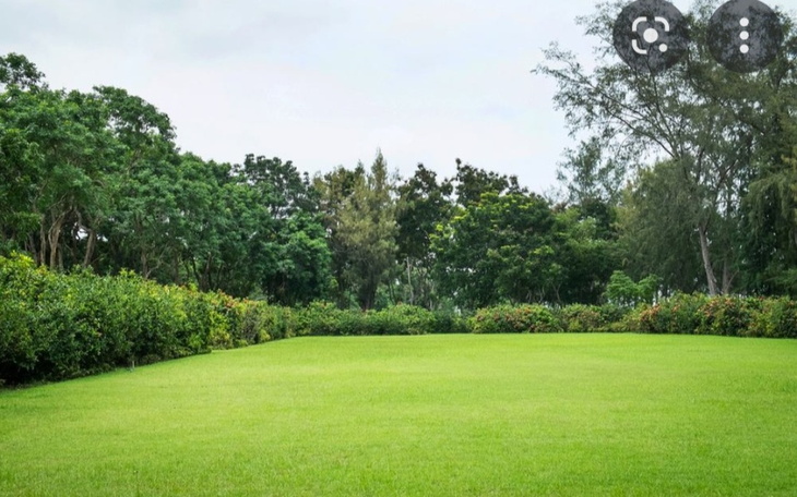 Zbiórka Na mój wymarzony dom - zdjęcie główne