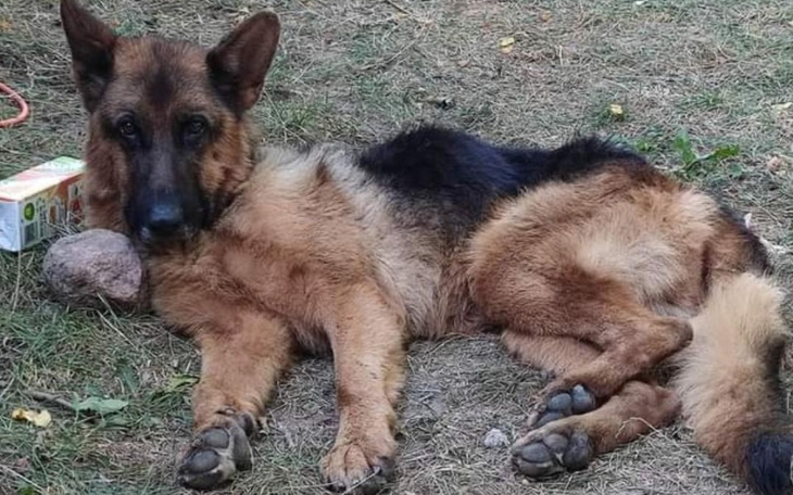 Zbiórka Żywy trup-sama skóra i kości - zdjęcie główne