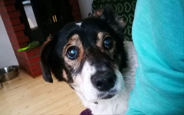 Zbiórka Czy pamiętacie o Pilu! - zdjęcie główne