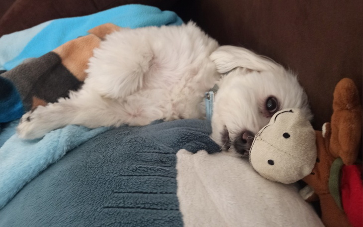 Zbiórka Zdrowie mojego Przyjaciela - zdjęcie główne