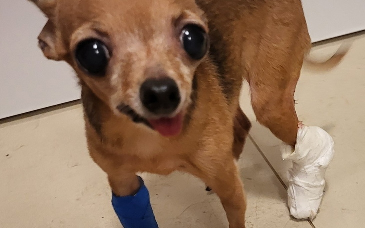 Zbiórka 1 kg Marcelki i podły rak - zdjęcie główne