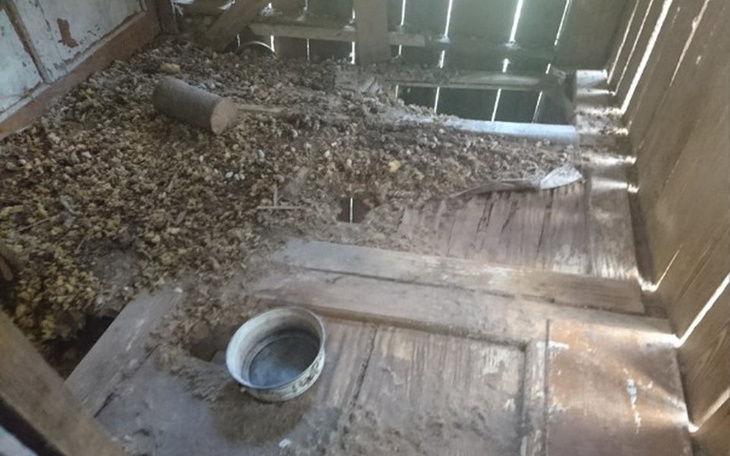 Zbiórka Smutne święta - dramat psów - zdjęcie główne