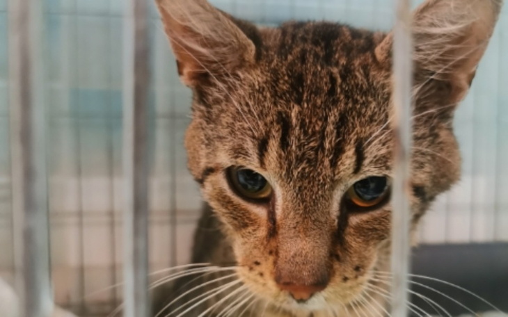 Zbiórka Na leczenie Ryśka - zdjęcie główne