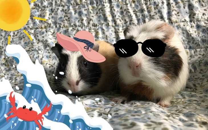 Zbiórka Lato w Ziemniaczarium - zdjęcie główne