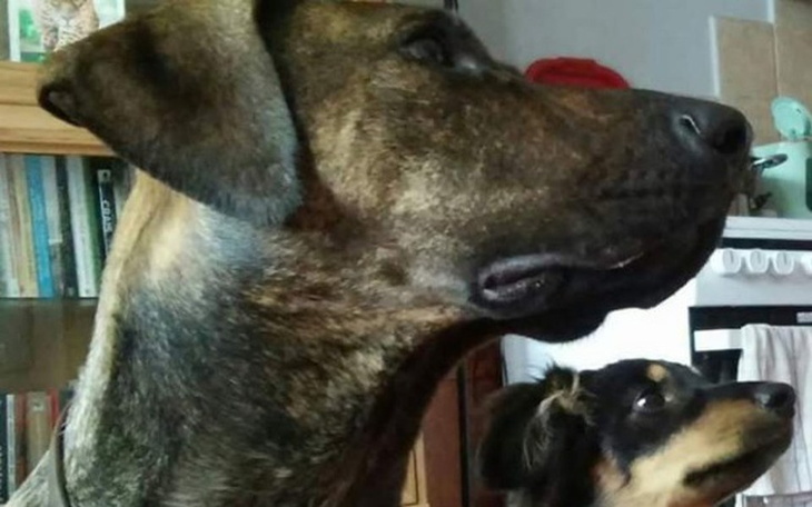 Zbiórka Szybka zbiórka na Ciapkowo. - zdjęcie główne