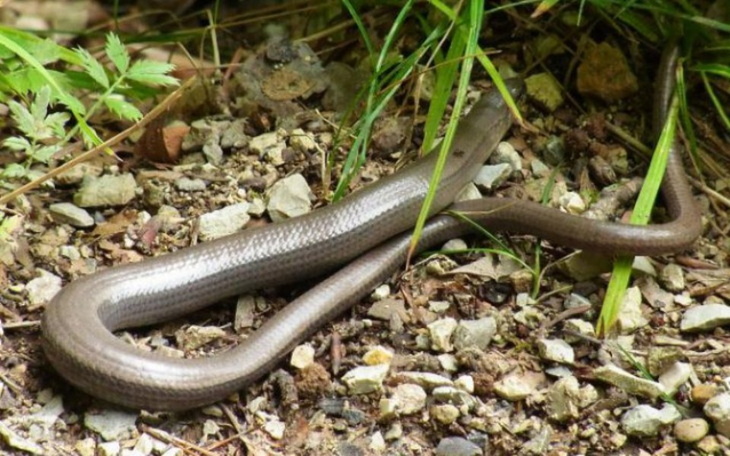 Zbiórka Na kupno samochodu - zdjęcie główne