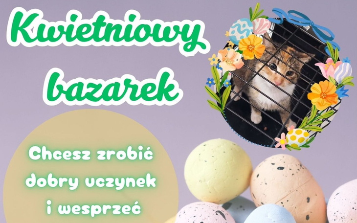 Kreatywne inicjatywy wspierające lokalne projekty.