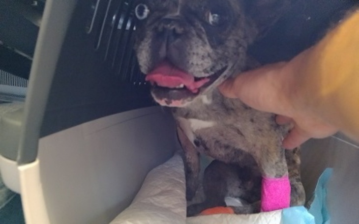 Zbiórka Operacja-kręgosłup/rehabilitacja - zdjęcie główne