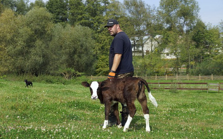 Zbiórka Uratujmy go przed śmiercią! - zdjęcie główne