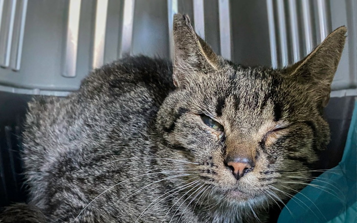 Zbiórka Król z piwnicy - zdjęcie główne