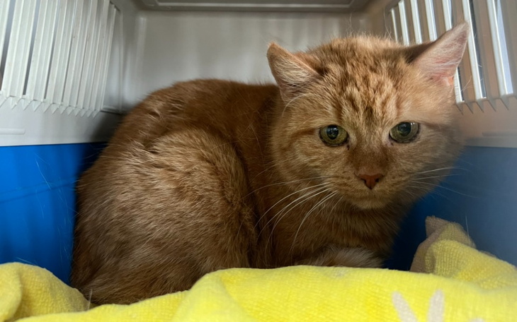 Zbiórka Mruczarnia marzec 2023 - zdjęcie główne