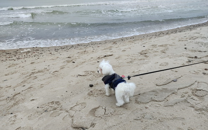 Zbiórka Na kartę podarunkową - zdjęcie główne