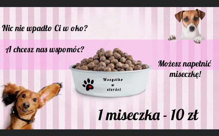 Zbiórka Wirtualna miska - zdjęcie główne