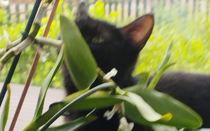 Zbiórka Zapalenie otrzewnej to nie wyrok - zdjęcie główne