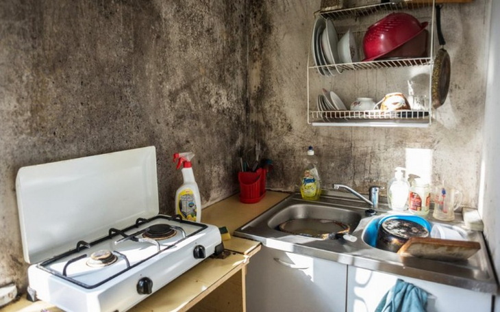 Zbiórka Zbieramy na nowe, lepsze życie - zdjęcie główne