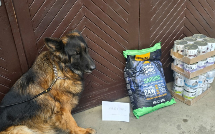 Zbiórka Spłata karmy pies bez oka - zdjęcie główne