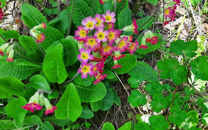 Zbiórka Potrzebuje kupić troche czasu - zdjęcie główne