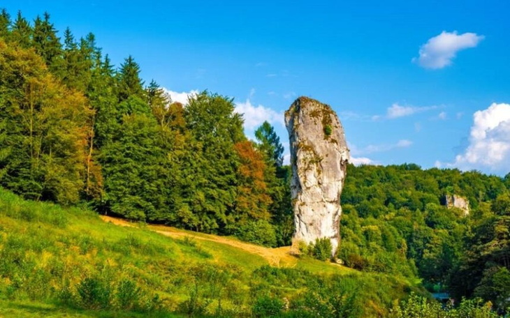 Widok na charakterystyczny kamień w otoczeniu zieleni.