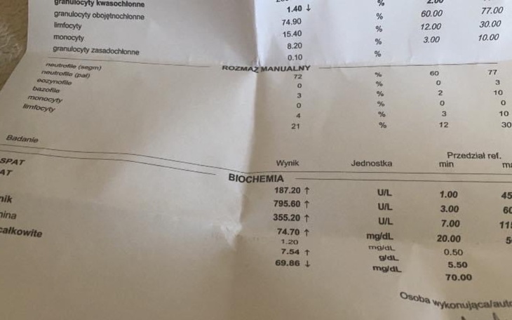 Zbiórka Zbiórka na badania dla pieska... - zdjęcie główne