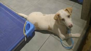 Zbiórka Pomoc bez granic - miniaturka zdjęcia