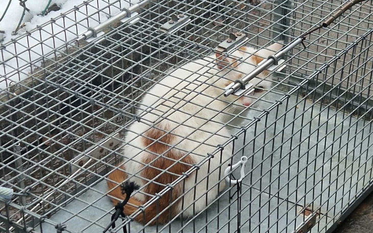 Grafika zachęcająca do wsparcia lokalnych inicjatyw.