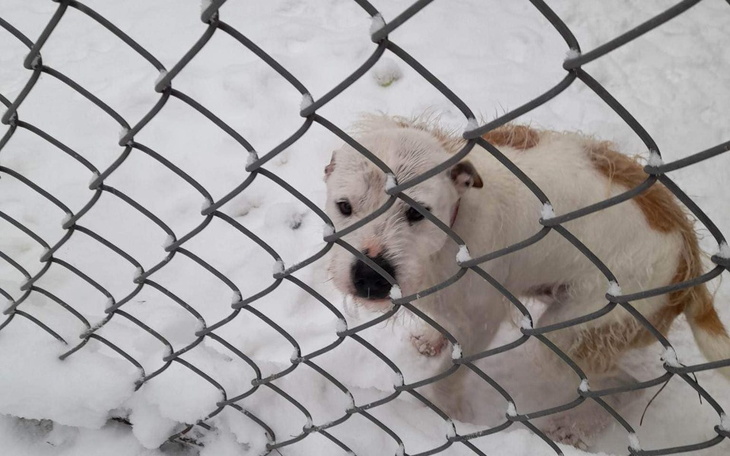 Zbiórka Hotel dla Nero - zdjęcie główne
