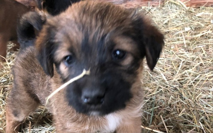 Zbiórka Lichwa - zdjęcie główne