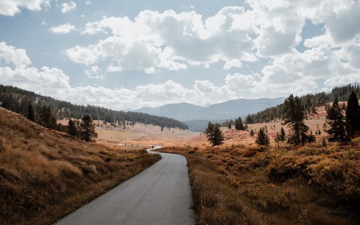 Zbiórka Na powrot do Polski, do rodziny - zdjęcie główne