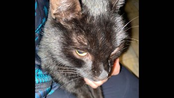 Zbiórka Zdążyły przed śmiercią na mrozie - miniaturka zdjęcia